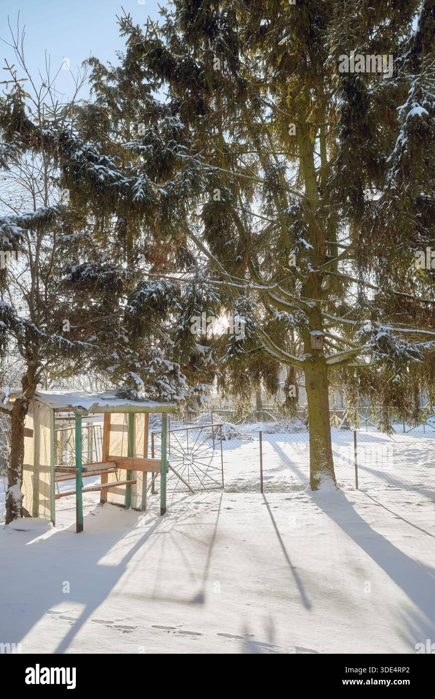 Ruhige Winterlandschaft mit Schaukel im Garten an einem sonnigen Tag. Stockfoto