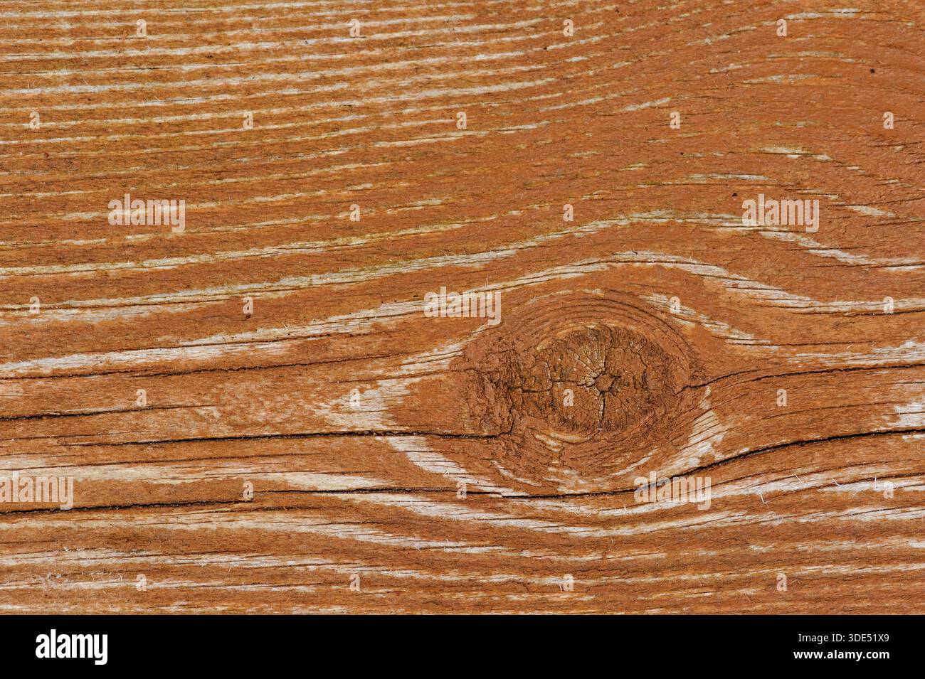 Die Oberfläche des Naturholzes weist einzigartige Kornmuster und Knoten auf. Das Licht hebt die Texturen und Farben des Holzes auf einfache Weise hervor. Stockfoto