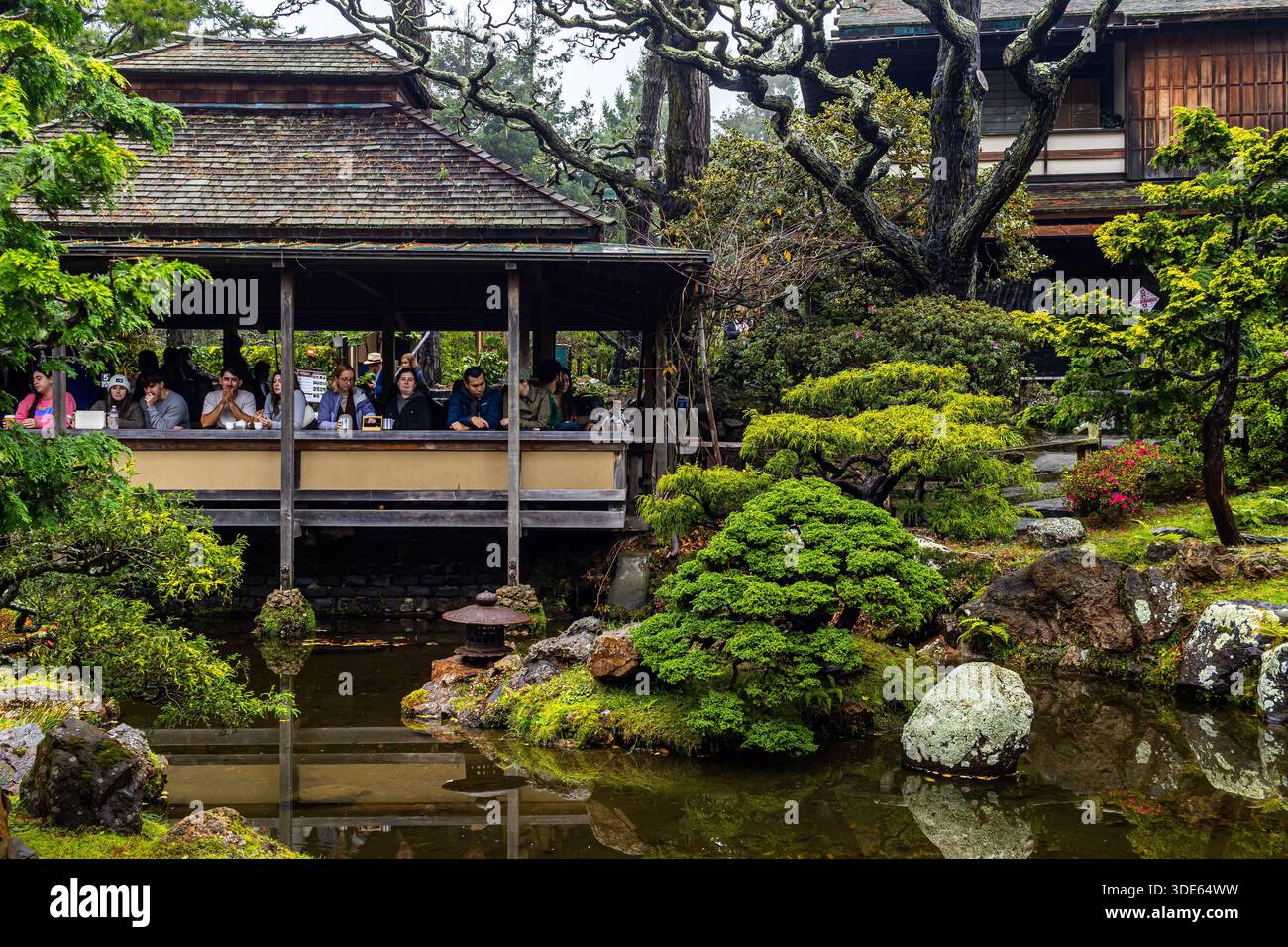 Japanischer Teegarten im San Francisco Golden Gate Park, Kalifornien, Gäste im Tea House über dem Teich Stockfoto