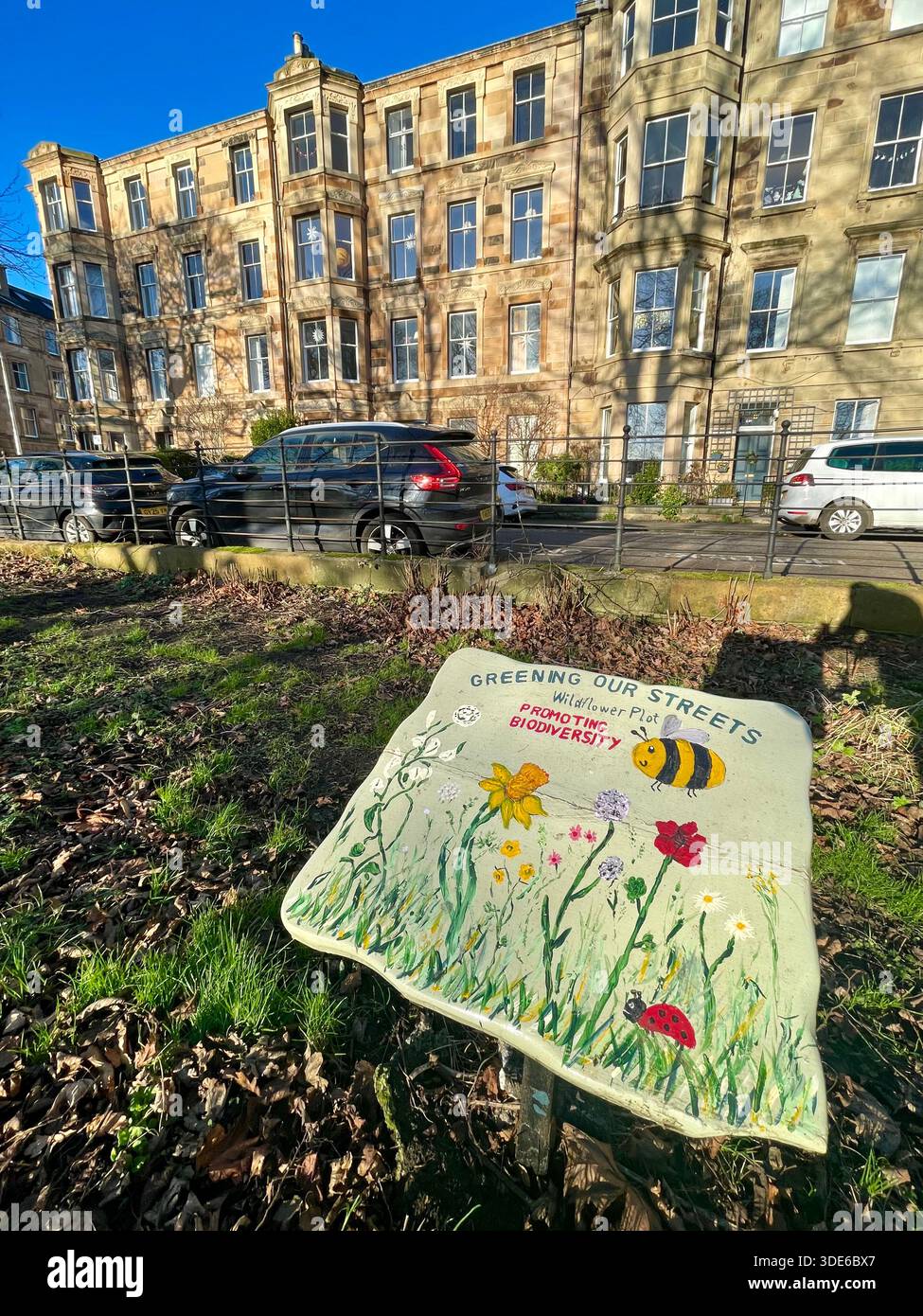 Grünanlagen unserer Straßen, Wildblumenflächen, Förderung der Biodiversität im öffentlichen Park der Meadows, Edinburgh, Schottland Stockfoto
