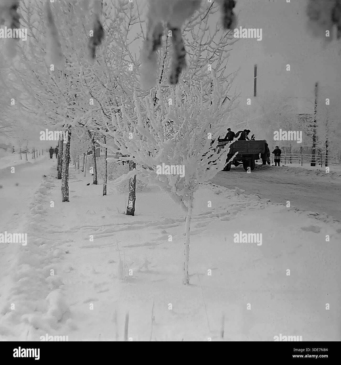 Slawjansk, Region Donezk, Ukraine, UdSSR. Winterfoto der frühen 1950er Jahre. Eine verschneite Straßenszene in der Stadt mit jungen Bäumen, die stark mit weißem Raureif bedeckt sind. Ein sowjetischer Vintage-Lastwagen, wahrscheinlich ein GAZ-Modell, transportiert eine Gruppe von Arbeitern im offenen Rücken entlang der vereisten Straße. Eine Frau im dunklen Mantel steht in der Nähe. Das Bild wird von verschwommenen, frostigen Zweigen im Vordergrund eingerahmt, die authentisch die raue, aber schöne Winteratmosphäre und die tägliche Arbeit im friedlichen Donbass während der Jahre der industriellen Erholung der Nachkriegszeit einfangen. Stockfoto