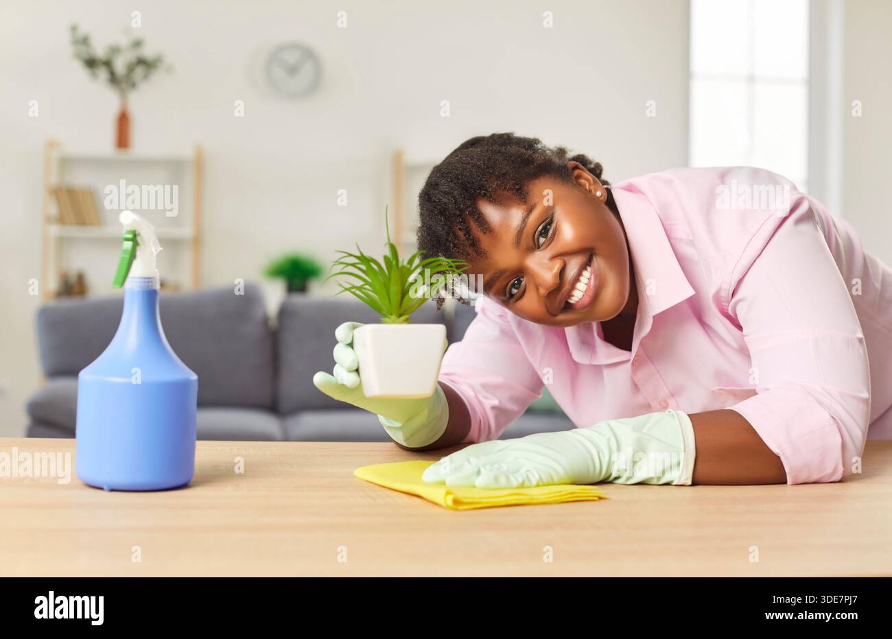 afroamerikanerin staubt unter der Blume auf dem Tisch, Nahaufnahme Stockfoto
