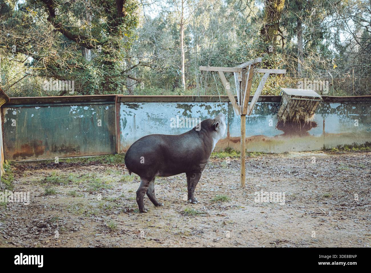 Der Zoo Santo Inácio ist der größte Zoo im Norden Portugals in Vila Nova de Gaia. Es enthält eine Vielzahl von Tierarten in naturalistischem e Stockfoto
