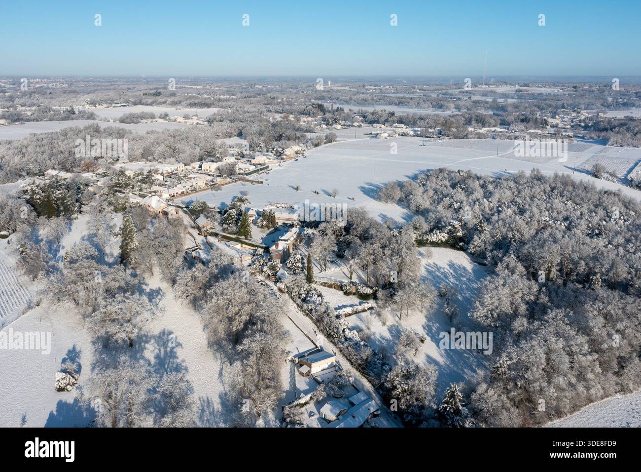 Saint Fiacre, Frankreich. Januar 2026. © PHOTOPQR/OUEST FRANCE/Franck Dubray ; Saint-Fiacre ; 06/01/2026 ; La Loire-Atantique a été placée en Vigilance orange par météo France comme 23 Départements en France pour des chutes de neige et verglas sur les Routes. La neige dans le vignoble nantais avec les vignes gelées à Saint-Fiacre (Foto Franck Dubray) Schneefälle in Frankreich, am 6. januar 2026 *** Lokaler Bildtitel *** Credit: MAXPPP/Alamy Live News Stockfoto