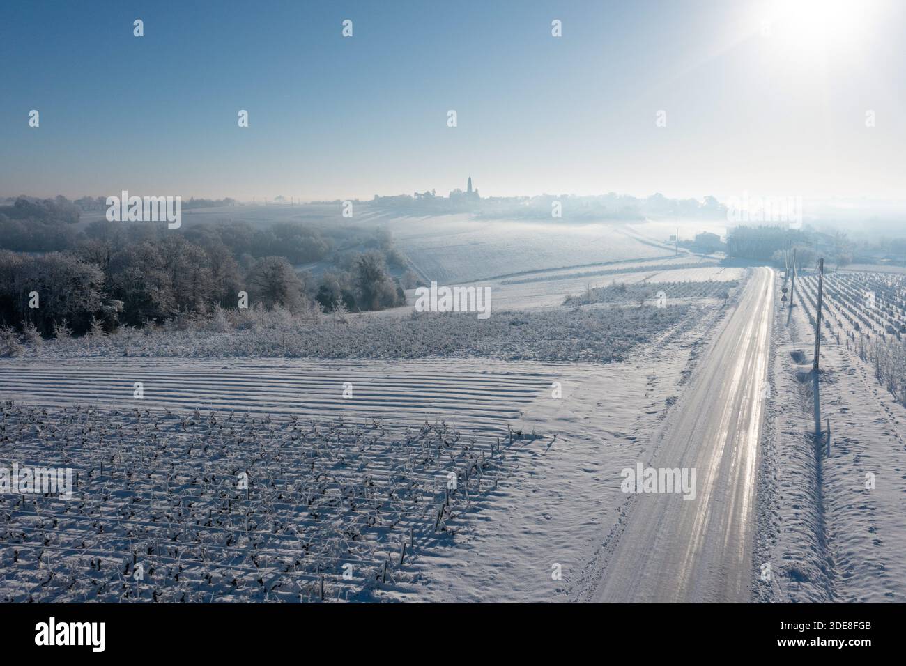 Saint Fiacre, Frankreich. Januar 2026. © PHOTOPQR/OUEST FRANCE/Franck Dubray ; Saint-Fiacre ; 06/01/2026 ; La Loire-Atantique a été placée en Vigilance orange par météo France comme 23 Départements en France pour des chutes de neige et verglas sur les Routes. La neige dans le vignoble nantais avec les vignes gelées à Saint-Fiacre (Foto Franck Dubray) Schneefälle in Frankreich, am 6. januar 2026 *** Lokaler Bildtitel *** Credit: MAXPPP/Alamy Live News Stockfoto