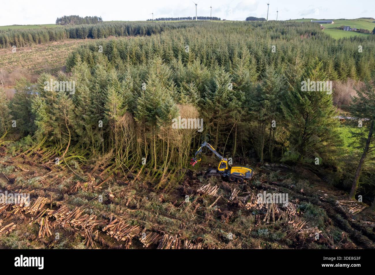 Coillte Worker nutzt einen Ecolog 688 Harvester, um Reenascreena Forest in West Cork, Irland, zu Fällen. Stockfoto