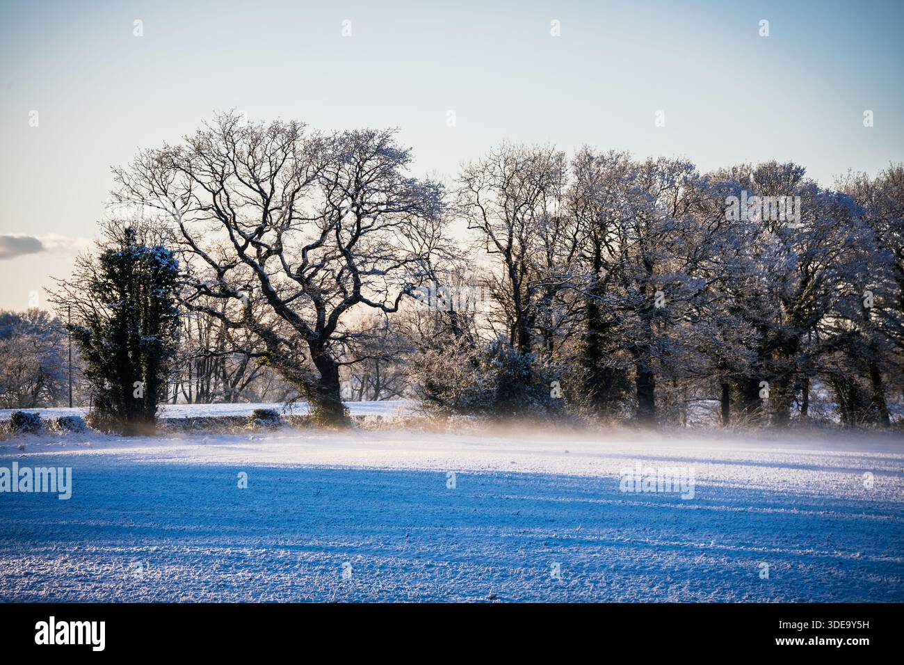 Ein kalter Dunst, der von schneebedeckten Fäusten in Chehire aufsteigt, während der Winter beißt. Stockfoto