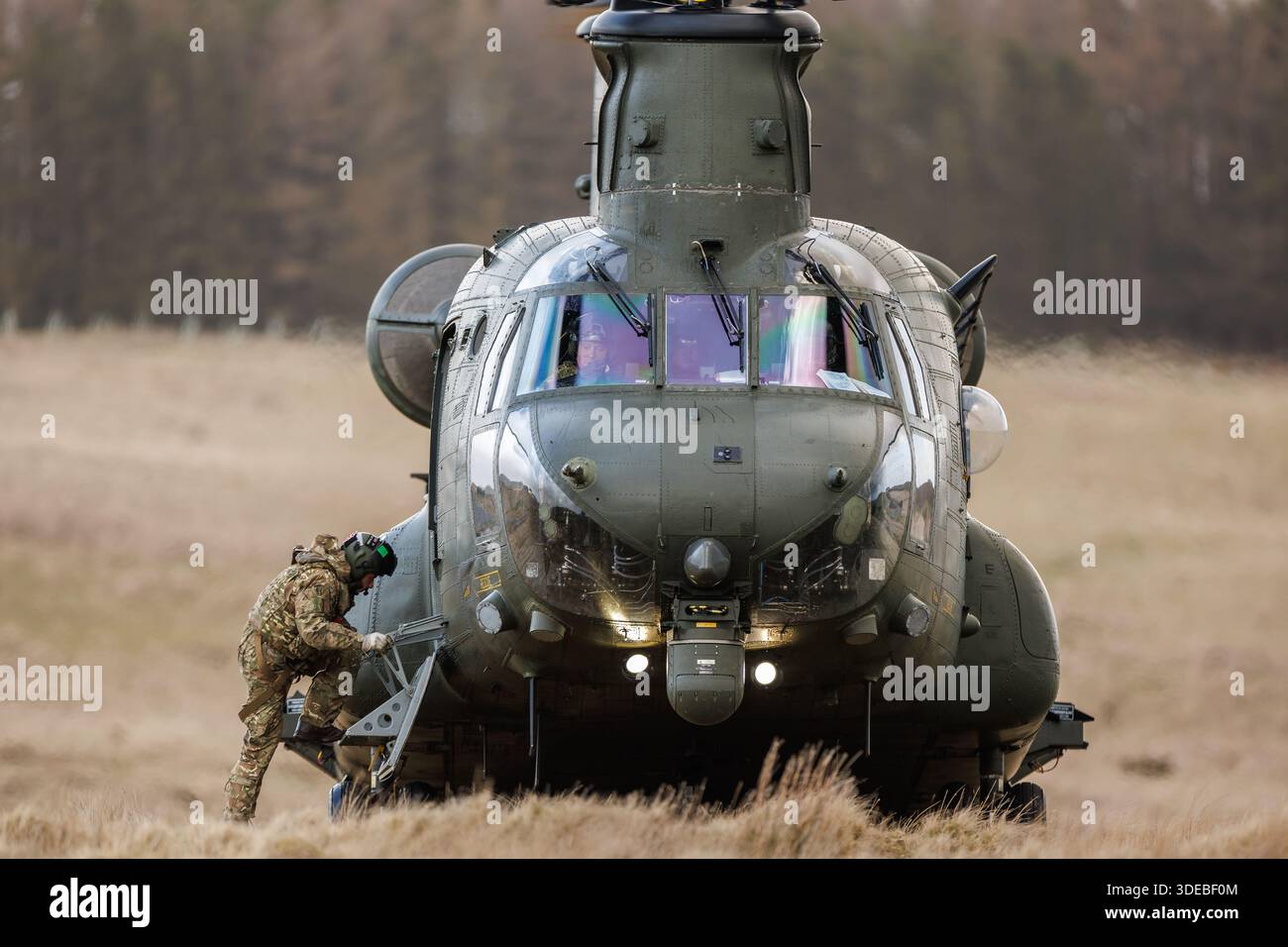 RAF CH-47 Chinooks über Trainingsübungen in Mittelwales Stockfoto