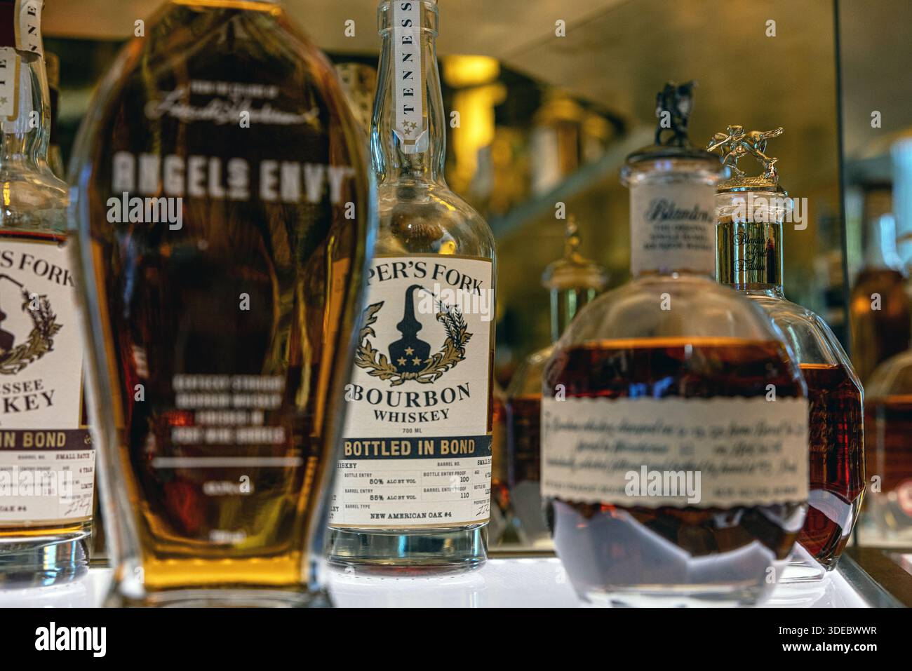 Eine kuratierte Sammlung von erstklassigen amerikanischen Bourbon Whiskey-Flaschen, die in den Regalen in einer warm beleuchteten, eleganten Bar-Umgebung ausgestellt werden. Stockfoto