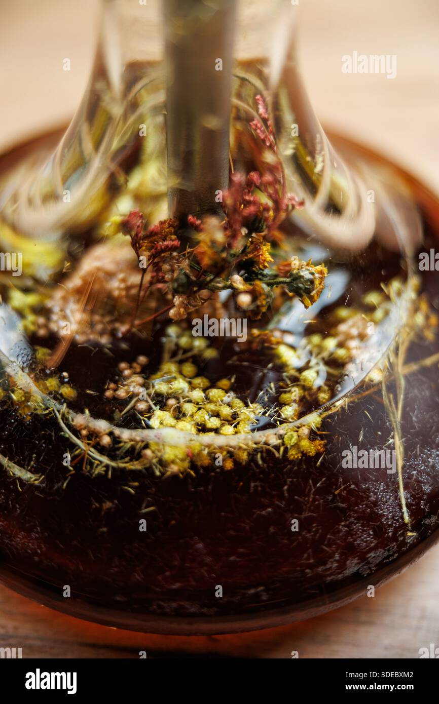 Eine Kräuterinfusion in einem klaren Glasgefäß, in dem getrocknete Blüten und in einer Flüssigkeit untergetauchte Pflanzen hervorgehoben werden. Die Anordnung hebt die Details hervor Stockfoto