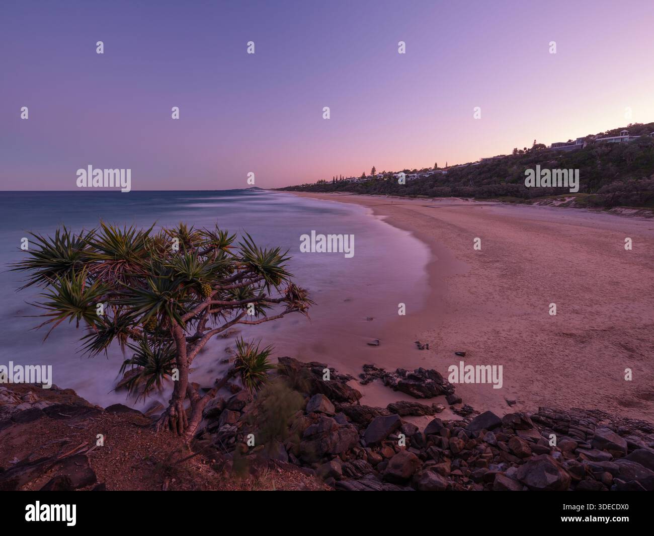 Blick über Sunshine Beach vom Noosa National Park an der australischen Sunshine Coast. Stockfoto