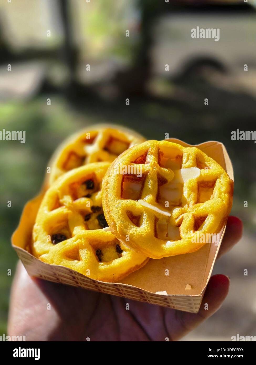 Nahansicht mit köstlichem runden gelben Mini-Waffel-Snack, der von Hand gehalten wird, mit verschwommenem Hintergrund Park, der eine glückliche süße Pause und Freude symbolisiert Stockfoto