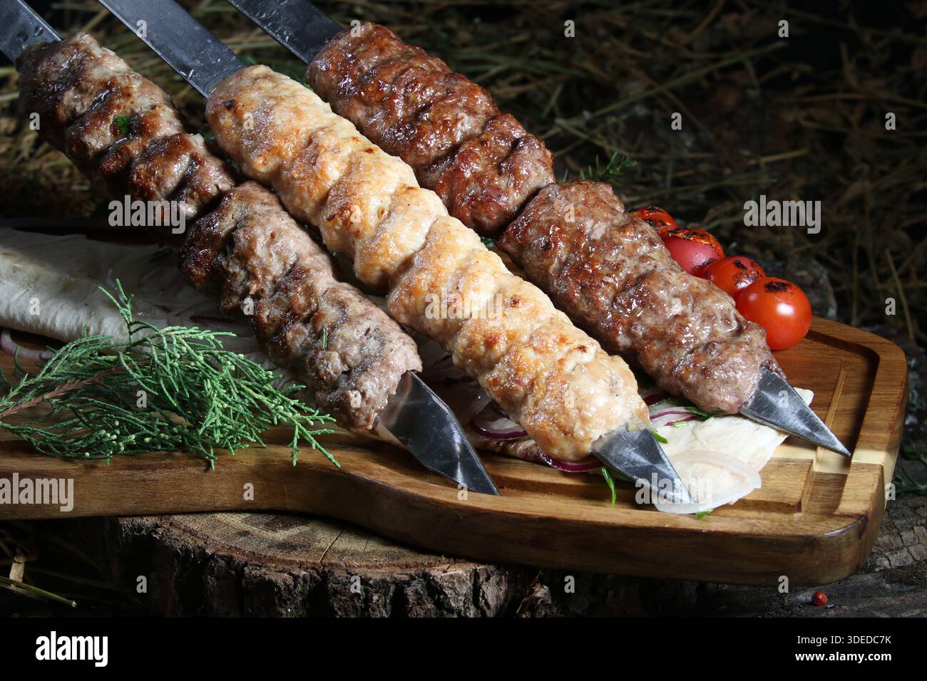 Nahaufnahme eines traditionellen kaukasischen Gerichts – gegrilltes Hackfleisch (lula Kebab oder Shish Kebab) auf Metallspießen. Mit Kebabs aus Chi Stockfoto