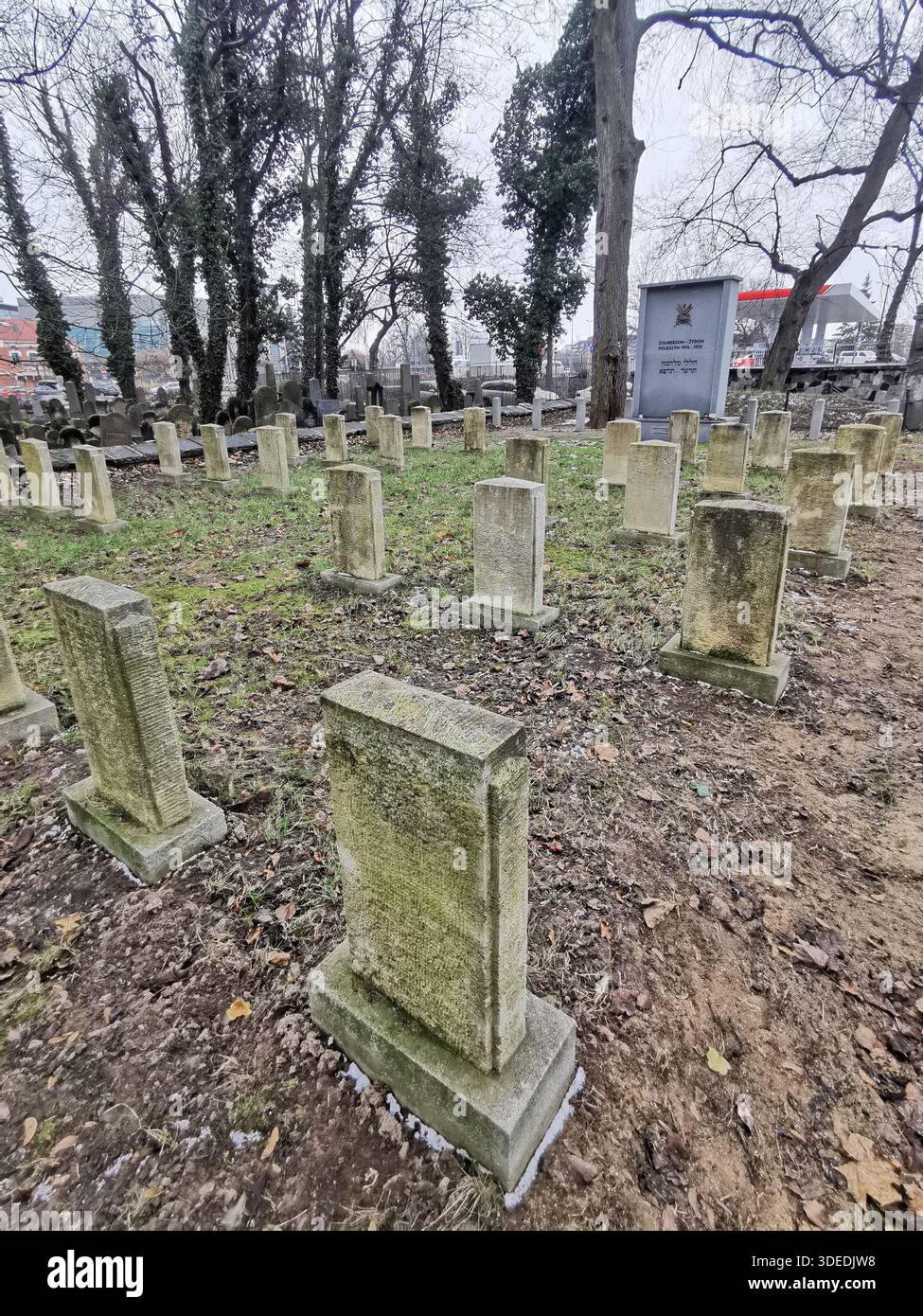 Neuer jüdischer Friedhof im Krakauer Stadtteil Kazimierz im Winter, historisches jüdisches Kulturerbe mit Gedenkstätte für die jüdischen Toten des Ersten Weltkriegs - Smartphone-aufgenommenes Stockfoto