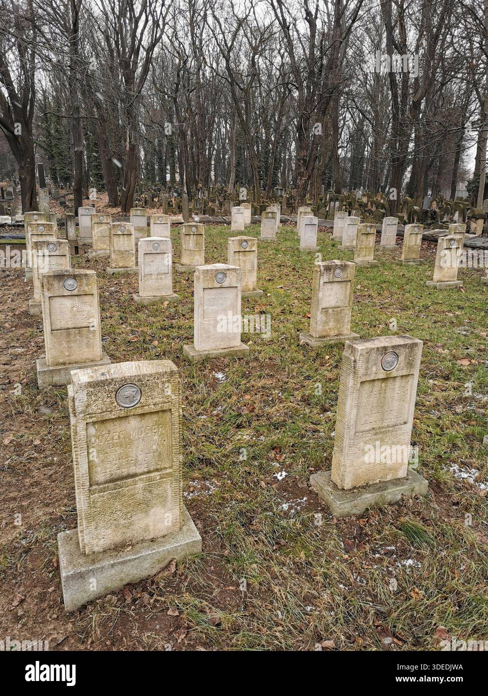 Neuer jüdischer Friedhof im Krakauer Stadtteil Kazimierz im Winter, historisches jüdisches Kulturerbe mit Gedenkstätte für die jüdischen Toten des Ersten Weltkriegs - Smartphone-aufgenommenes Stockfoto