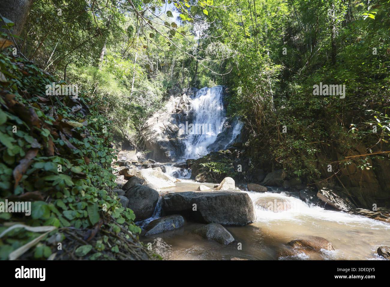 Kleiner, erfrischender Wasserfall, der über Felsformationen in einen klaren Bach stürzt, umgeben von üppig grünen Laubwäldern, Waldbäumen, Naturlandschaft im Freien Stockfoto