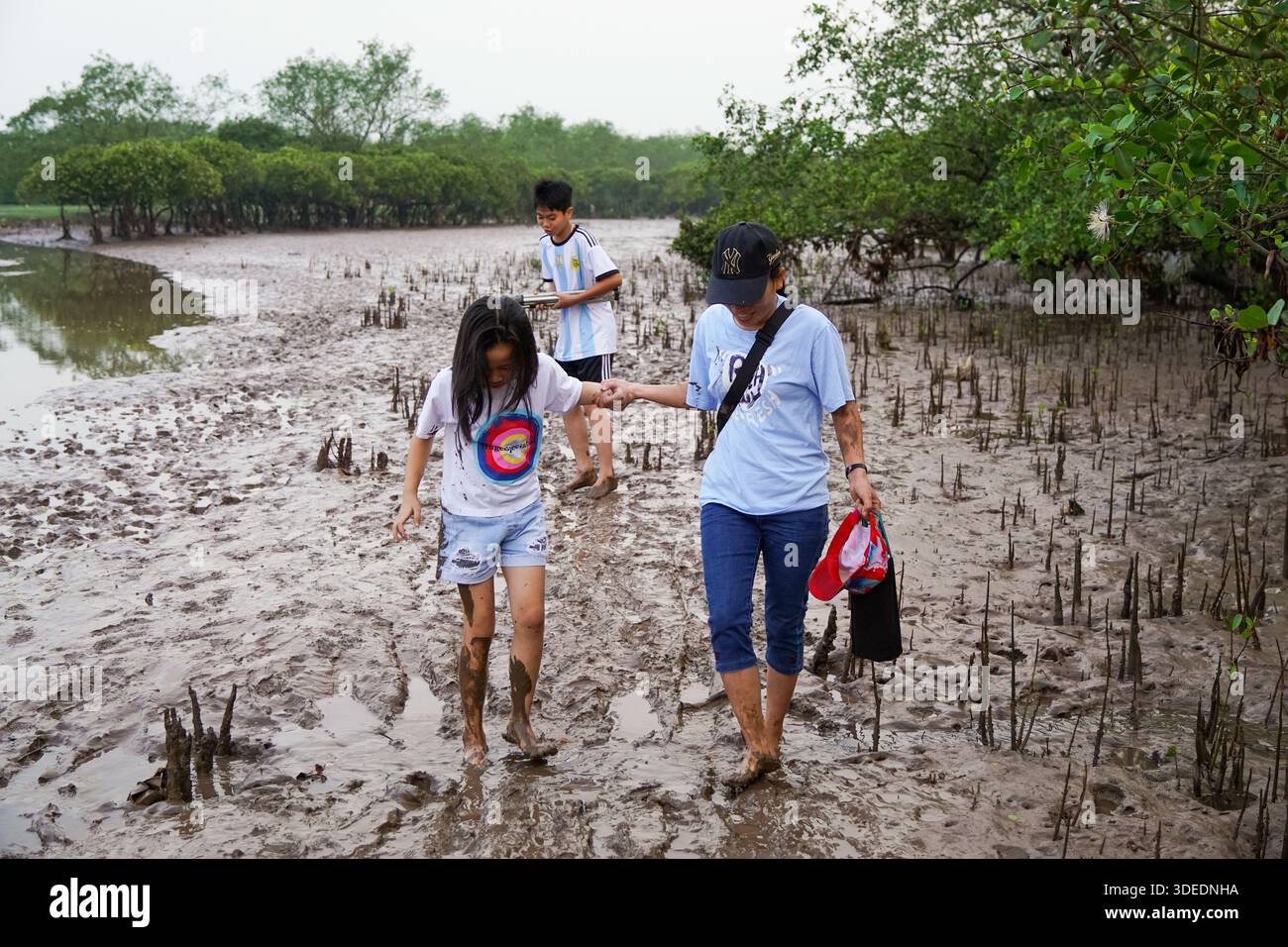 Kinder und Erwachsene erkunden schlammige Mangrovenwälder, spazieren durch Sümpfe, machen ein lehrreiches Naturabenteuer. Stockfoto