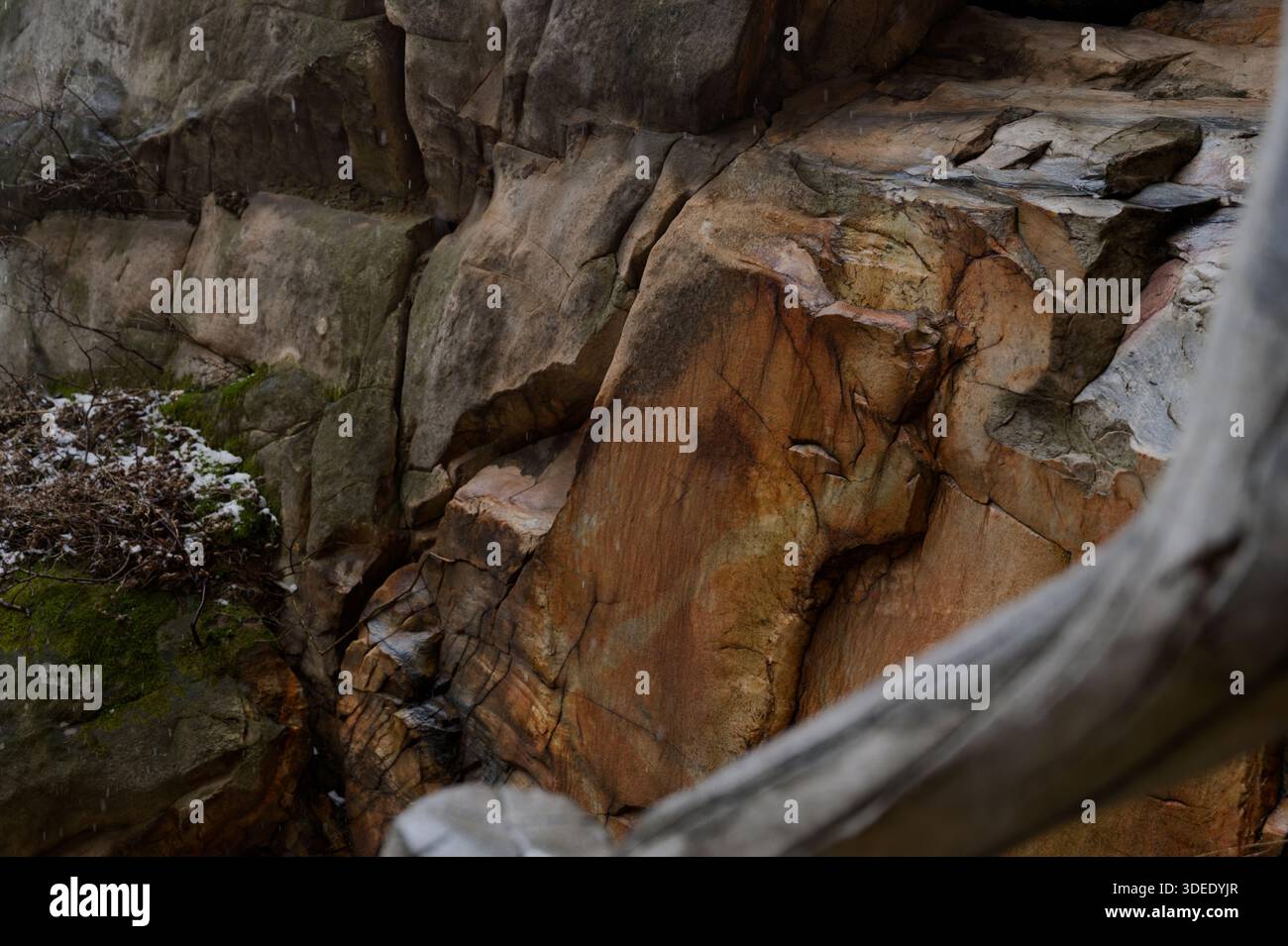 Strukturierte Felswand mit Moos und Schnee auf dem Songshan Mountain Stockfoto