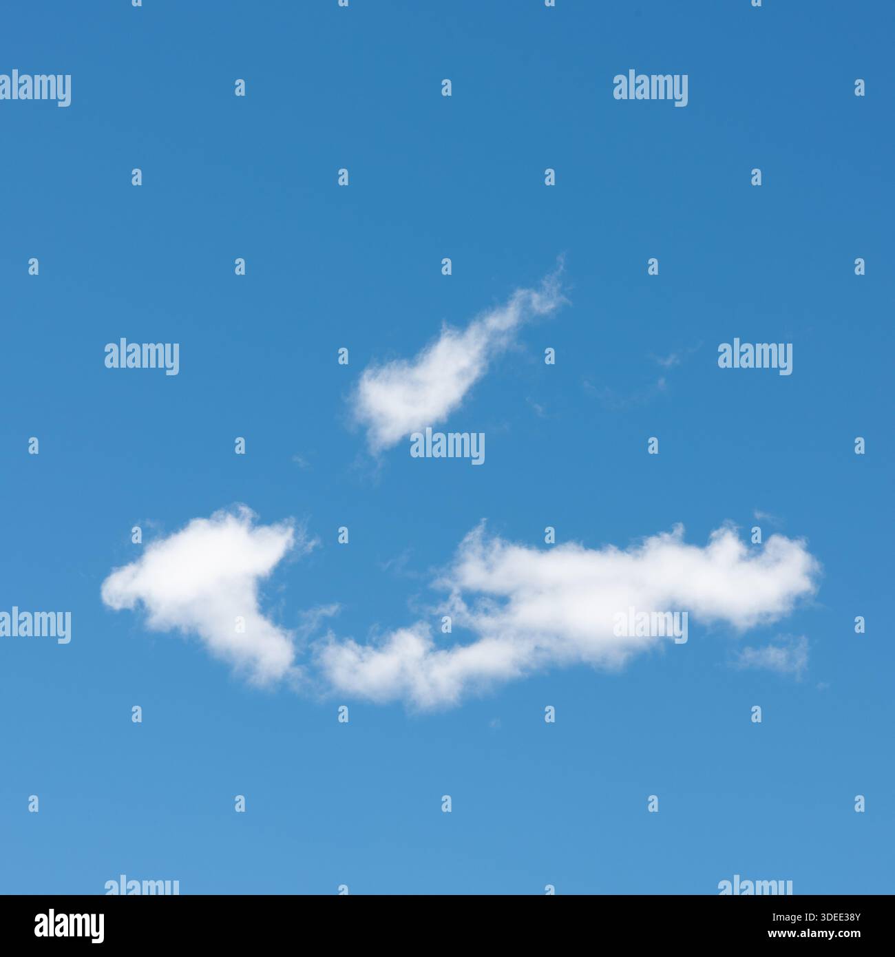 Sommerweiße Wolken am blauen Himmel in Neuseeland Stockfoto