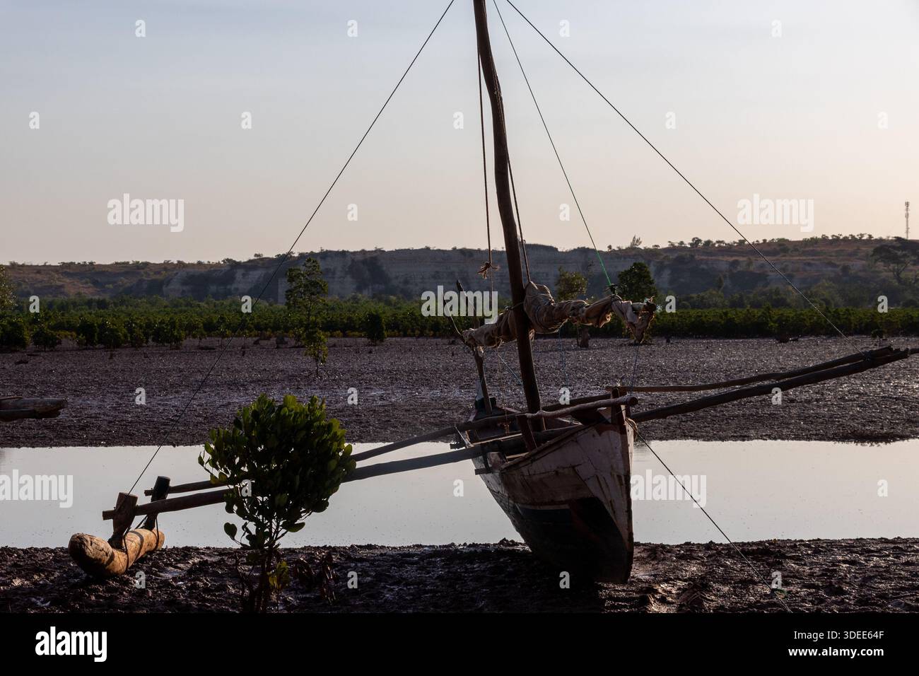 Madagaskar, Mangrovenboot Stockfoto