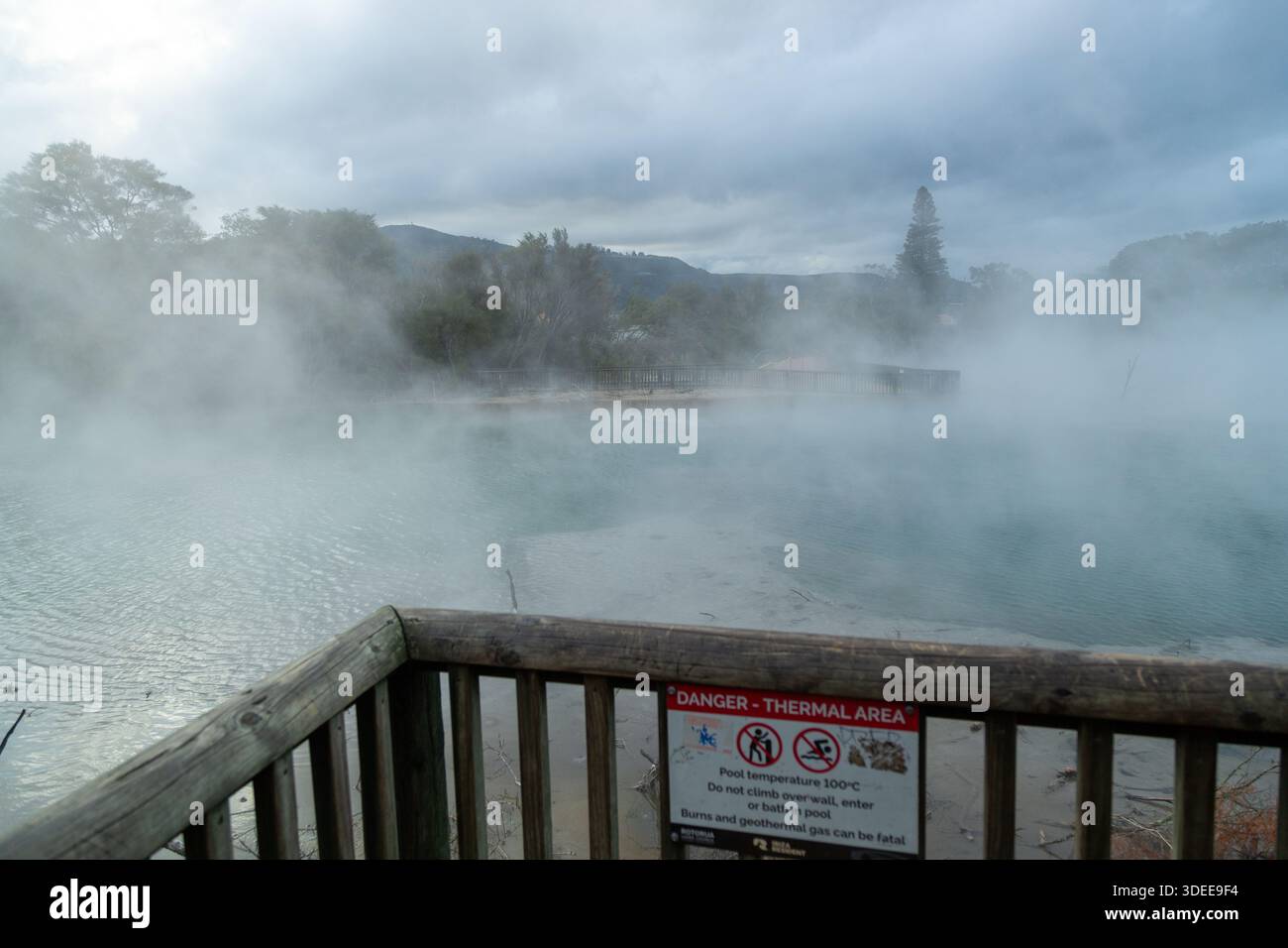 Dampfende geothermische Pools im Kuirau Park, Rotorua, Bay of Plenty Region, Nordinsel, Neuseeland Stockfoto
