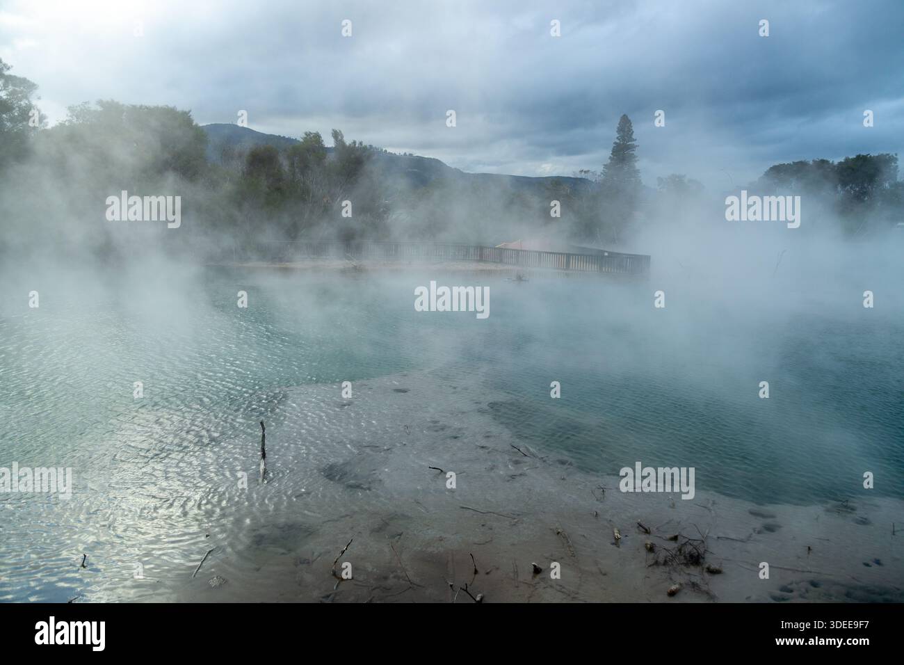 Dampfende geothermische Pools im Kuirau Park, Rotorua, Bay of Plenty Region, Nordinsel, Neuseeland Stockfoto