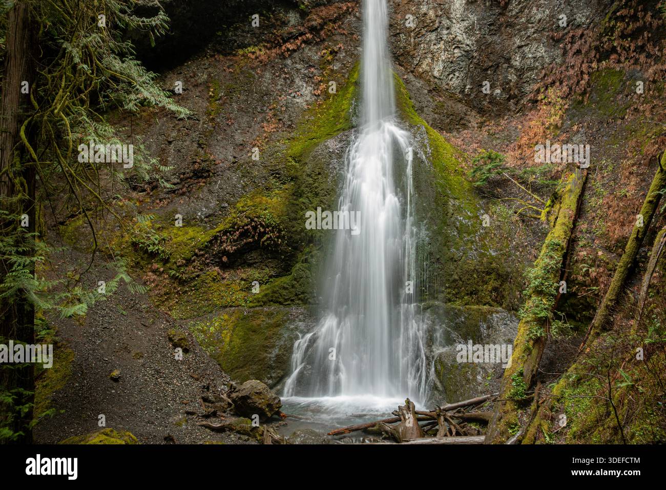 Marymere Wasserfall nahe Lake Crescent. Stockfoto