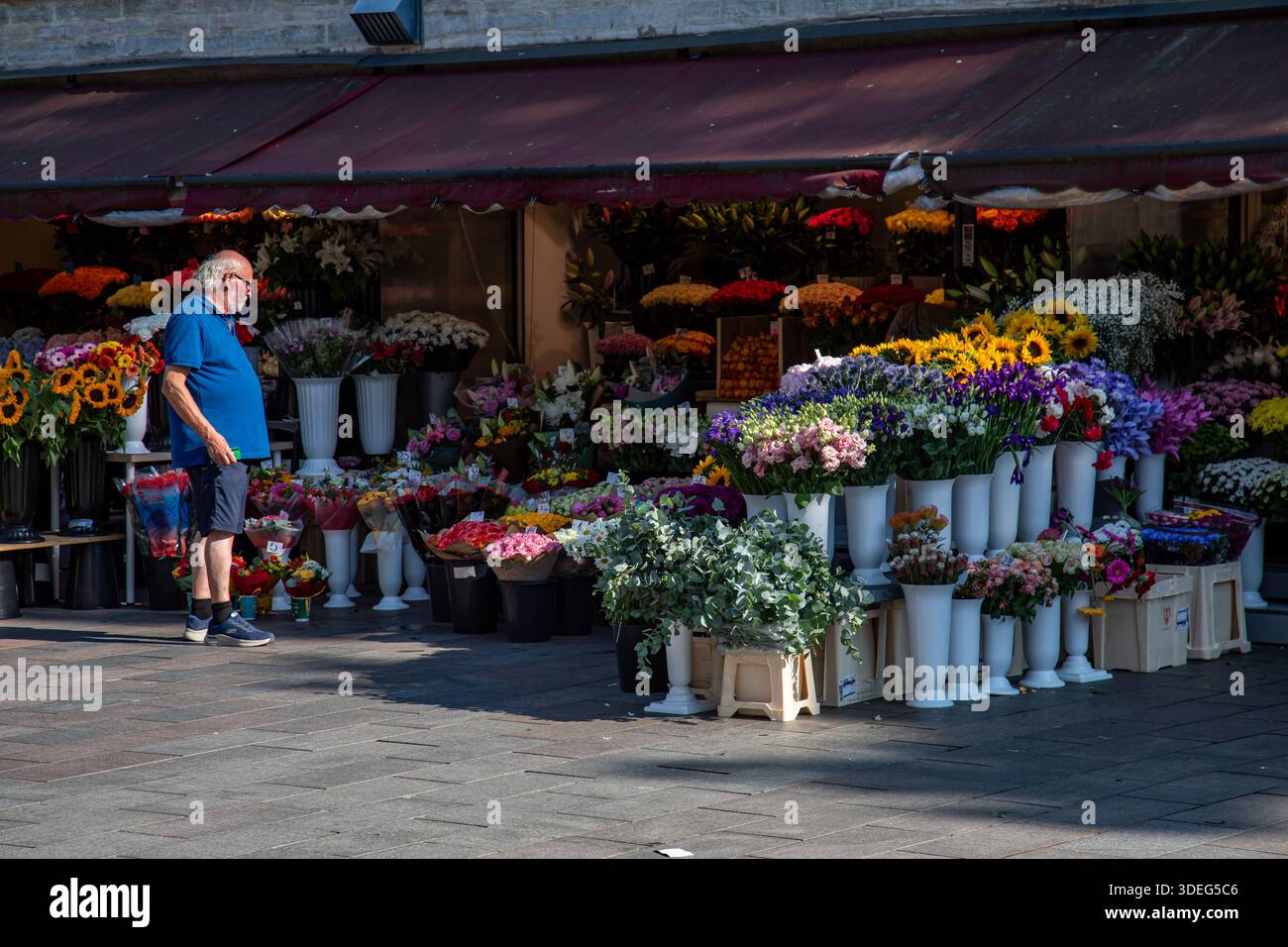 Mann mittleren Alters oder älteren Menschen, der vor einem Blumenladen in Tallinn, Estland, Schnittblumen ansieht Stockfoto