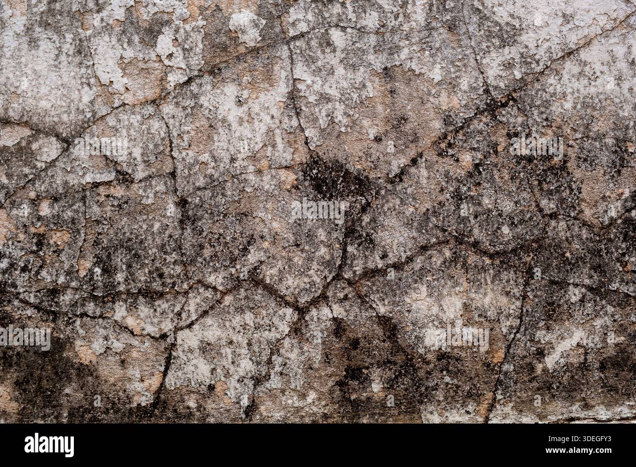 Wand mit abgenutzter, getrockneter Farbe und Schimmelflecken. Stockfoto