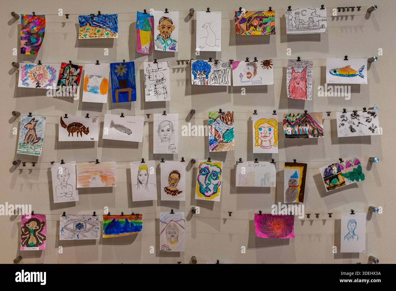 Stillleben: Blumen, Kunst auf Papierzeichnungen, Schaufenster, ein Fuß und ein Esel-Schuss in Albuquerque, New Mexico Stockfoto