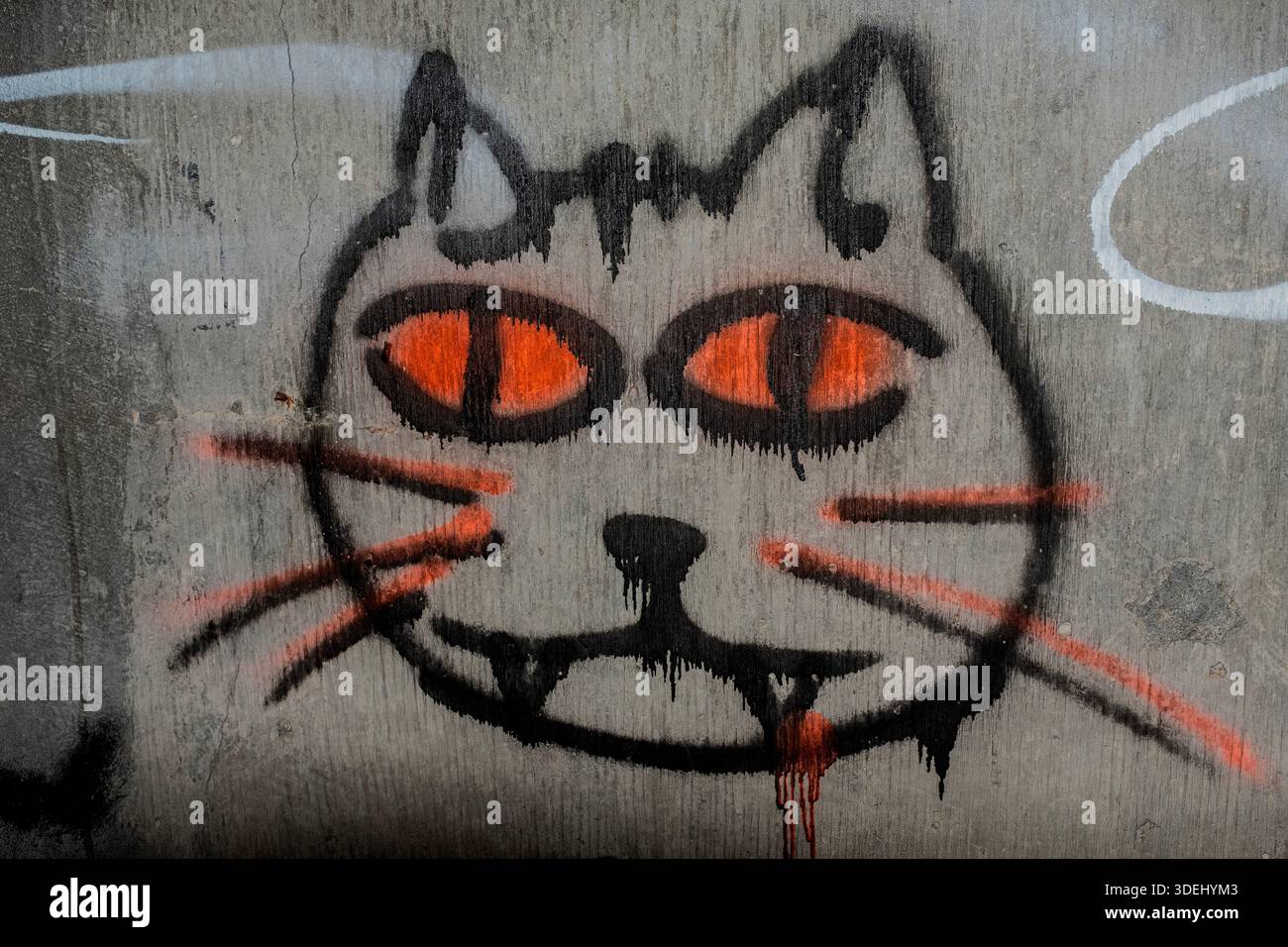 Graffiti in & im ' Hell's Gate Tunnel' Albuquerque, New Mexico Stockfoto