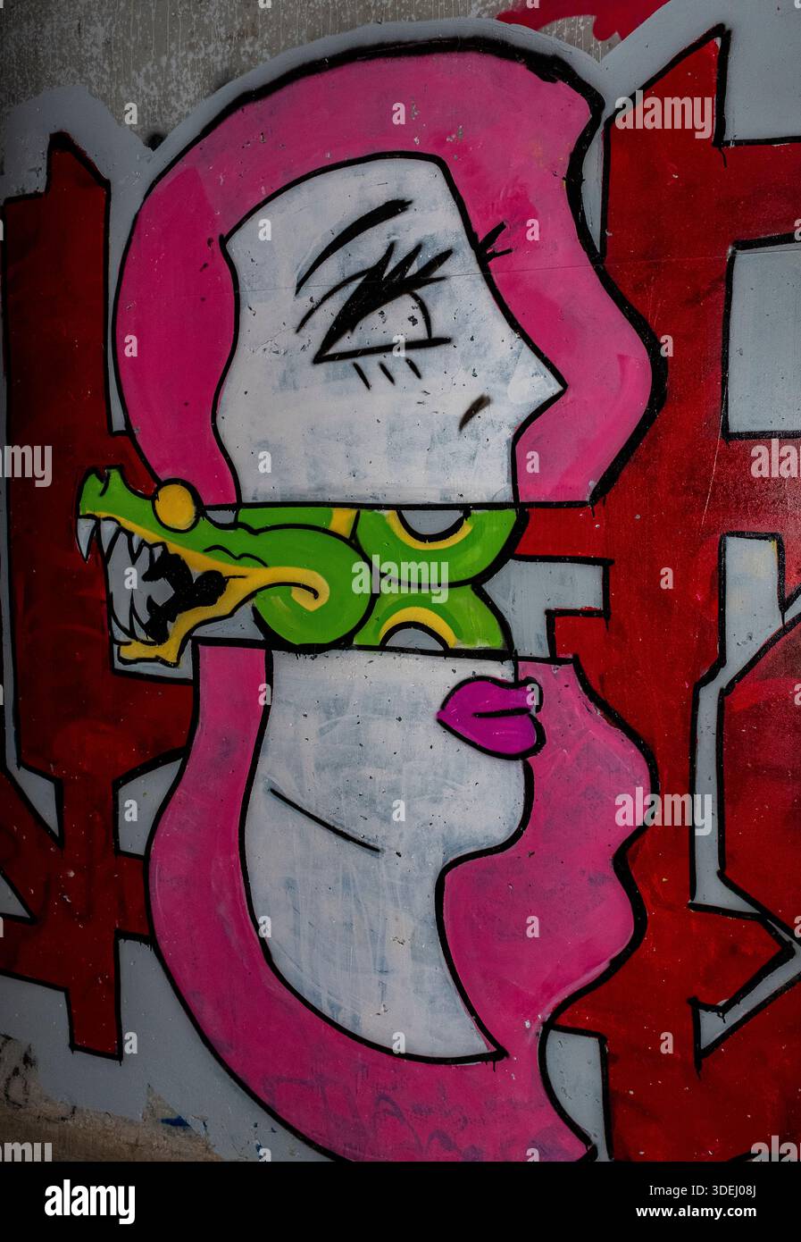 Graffiti in & im ' Hell's Gate Tunnel' Albuquerque, New Mexico Stockfoto