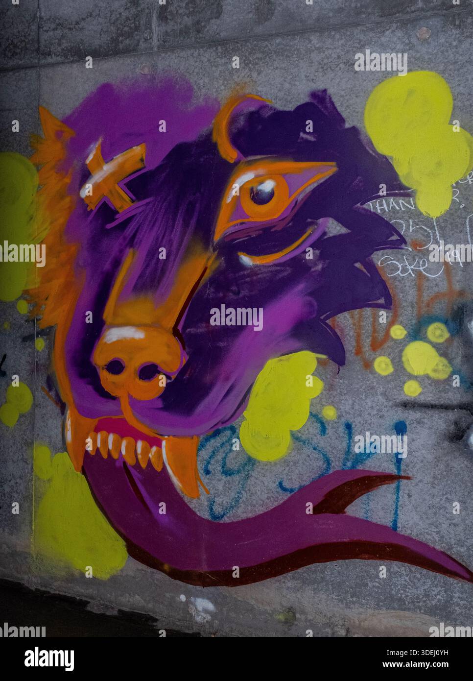Graffiti in & im ' Hell's Gate Tunnel' Albuquerque, New Mexico Stockfoto