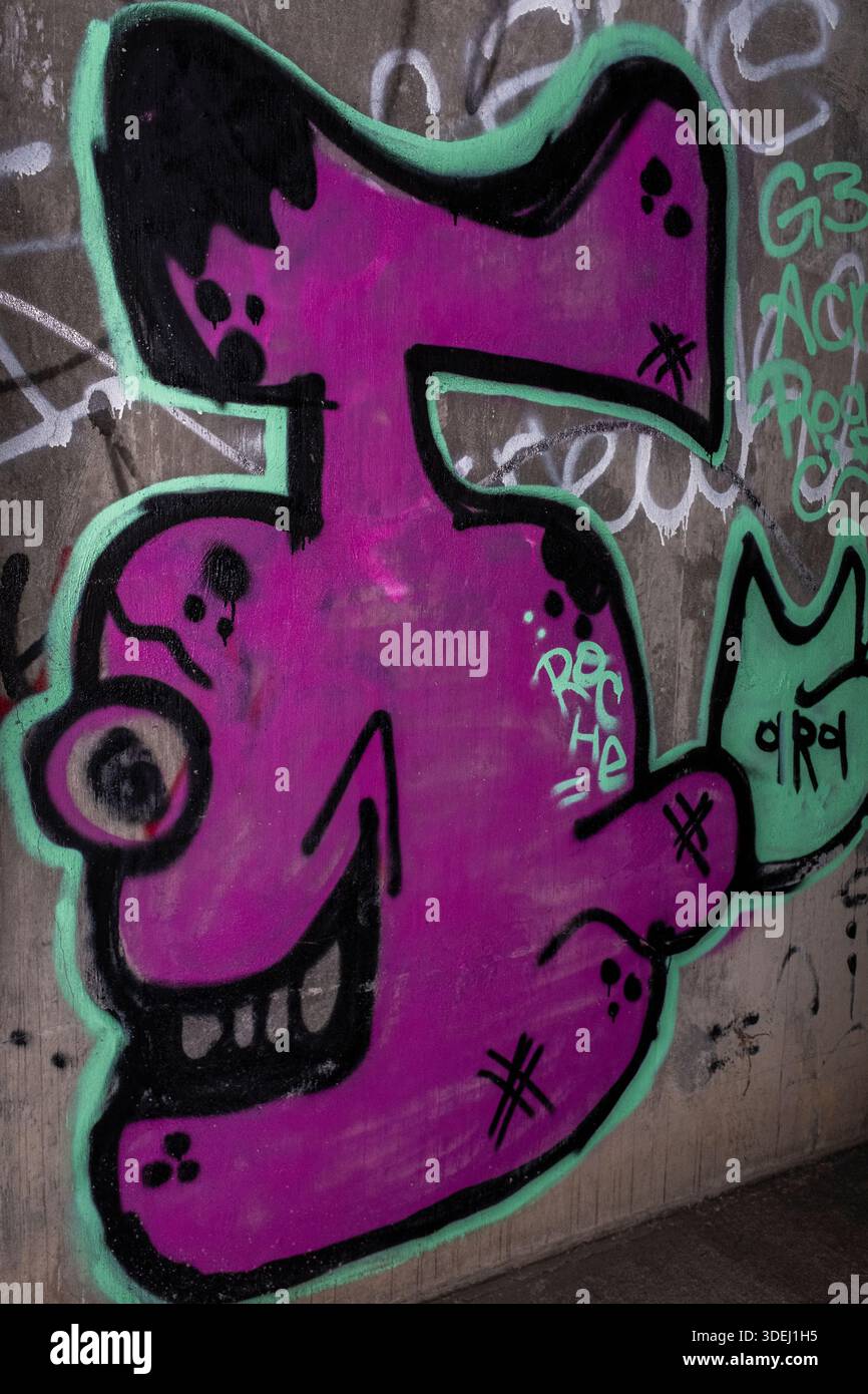 Graffiti in & im ' Hell's Gate Tunnel' Albuquerque, New Mexico Stockfoto