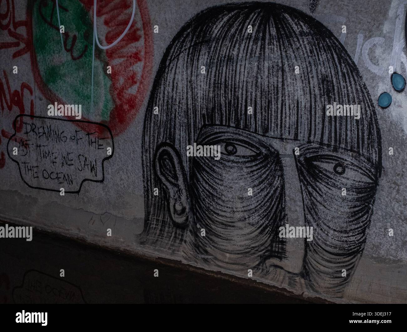 Graffiti in & im ' Hell's Gate Tunnel' Albuquerque, New Mexico Stockfoto