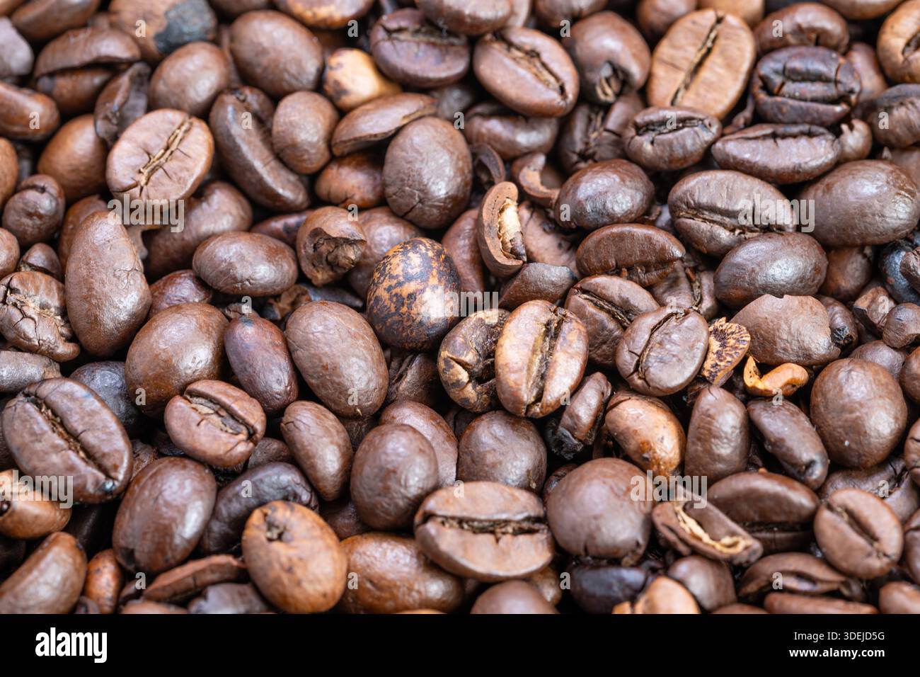 Close up Hochglanzkaffee Bohnen für Verpackungen, reichhaltige Texturen und reflektierende Ölflecken, sauberer Hintergrund, ideal für Premium-Etikettendesign, e-Commerc Stockfoto