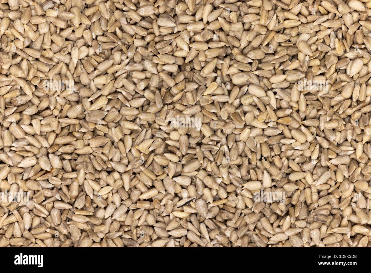 Geschälte Sonnenblumenkerne schaffen eine strukturierte Oberfläche, die gesunde und nahrhafte Snacks darstellt. Vollbild-Makroaufnahme. Stockfoto