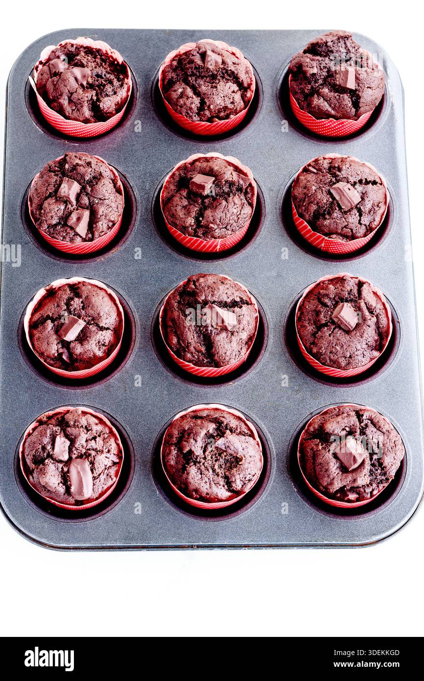 Frisch gebackene Schokoladen-Muffins in Muffintablett, Draufsicht, vertikal Stockfoto