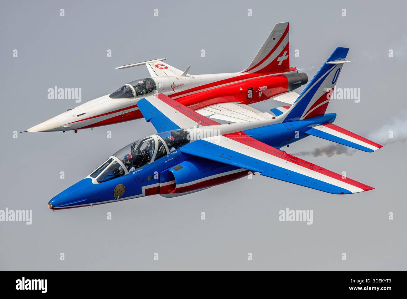 Französische Patrouille de France Alpha Jets, blau, weiß und rot lackiert, fliegen in enger Formation mit einem Schweizer Northrop F-5E Tiger II, Serie J-3088 von Patrouille Suisse. Der Alpha Jet, ein zweimotoriges Trainer- und leichtes Angriffsflugzeug, nutzt SNECMA Turbomeca Larzac Turbofans. Die F-5E ist ein Überschalljäger, der von General Electric J85-Turbojets angetrieben wird. Das Flugzeug führt koordinierte Luft-Luft-Manöver auf dem Festival Aéreo Internacional AIRE 25, San Javier Airshow durch und demonstriert Präzision und Können im Kunstflug. Stockfoto