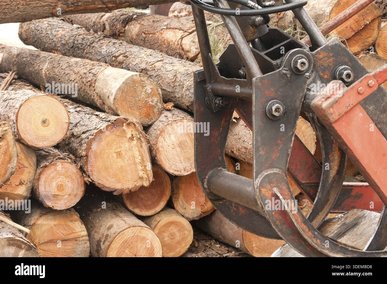 Stapel von grob geschnittenen Kiefernstämmen und Details der Holzbearbeitungsmaschine Stockfoto