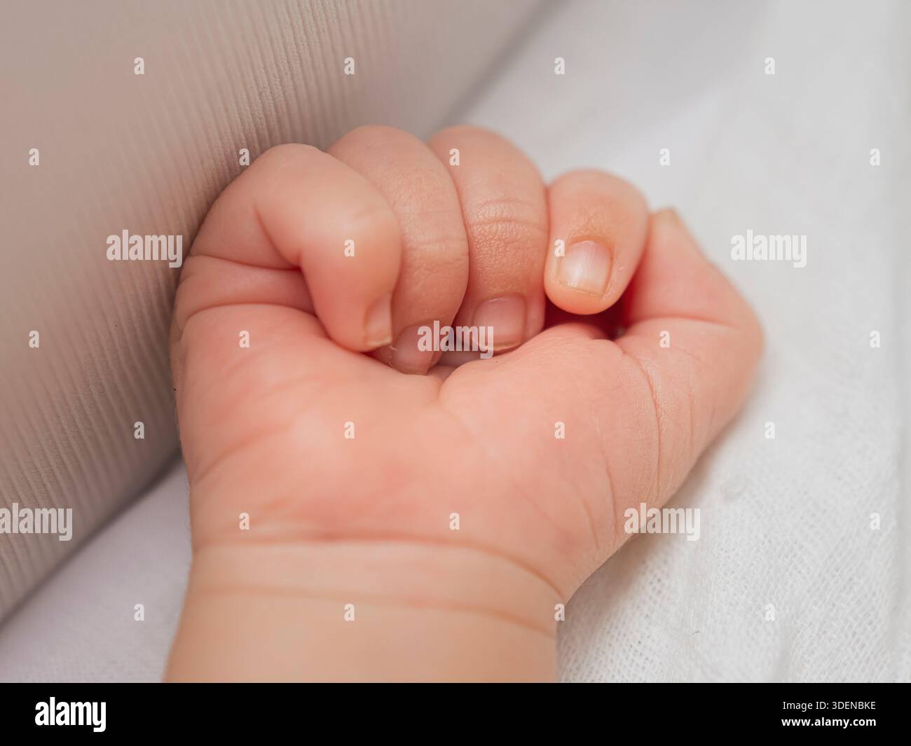 Die zarte Hand eines Neugeborenen Stockfoto