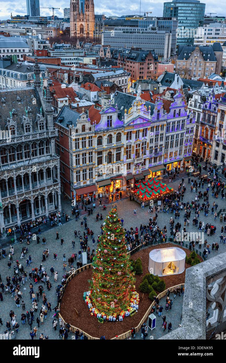 Erhöhter Blick auf den Grand Place oder Grote Market in Brüssel, Belgien, während der Weihnachtszeit mit einem geschmückten Baum und Touristen, die den Platz genießen Stockfoto