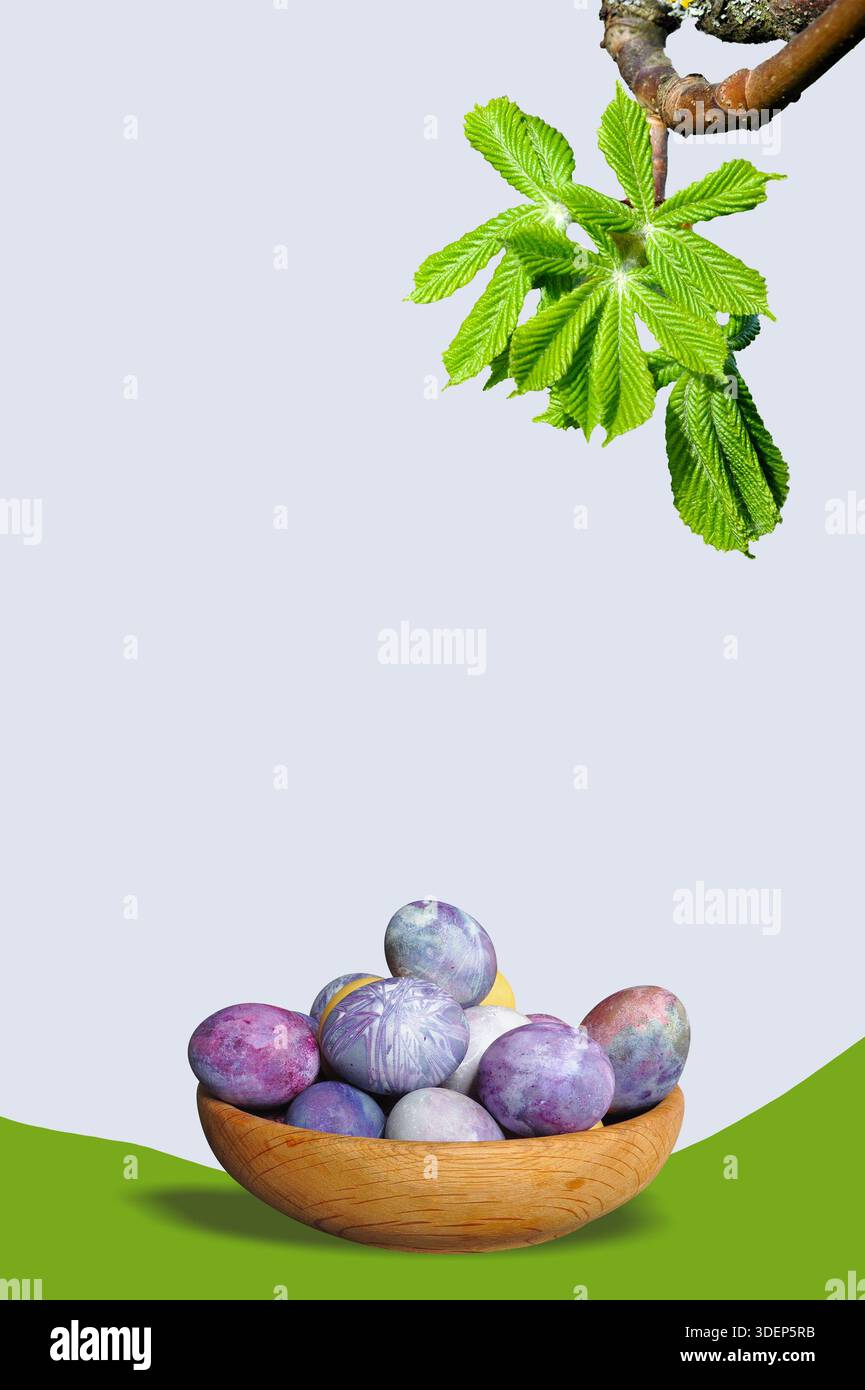 Hintergrund der Osterlandschaft. Korb mit bemalten Eiern, geschwungene bemalte Wiese, grüner Baumzweig oben, isoliert. Vertikales Bild. Konzeptionelle Federwand Stockfoto