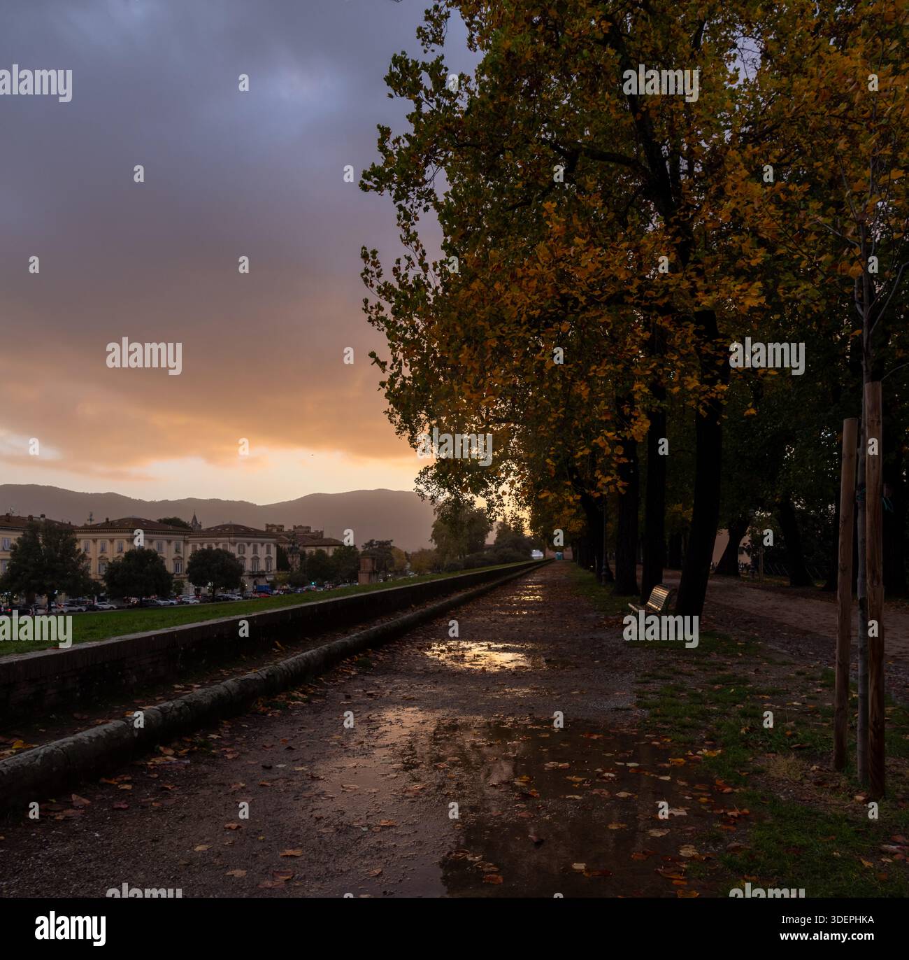 Murallas históricas de Lucca, Italia, Rodeadas de césped y árboles otoñales, con sendero Central y cielo Dramático al atardecer. Stockfoto