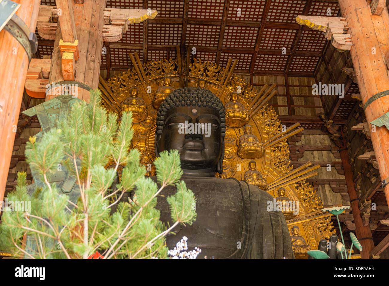 Todaiji Tempel im Nara Park, großer Buddha von Nara Stockfoto