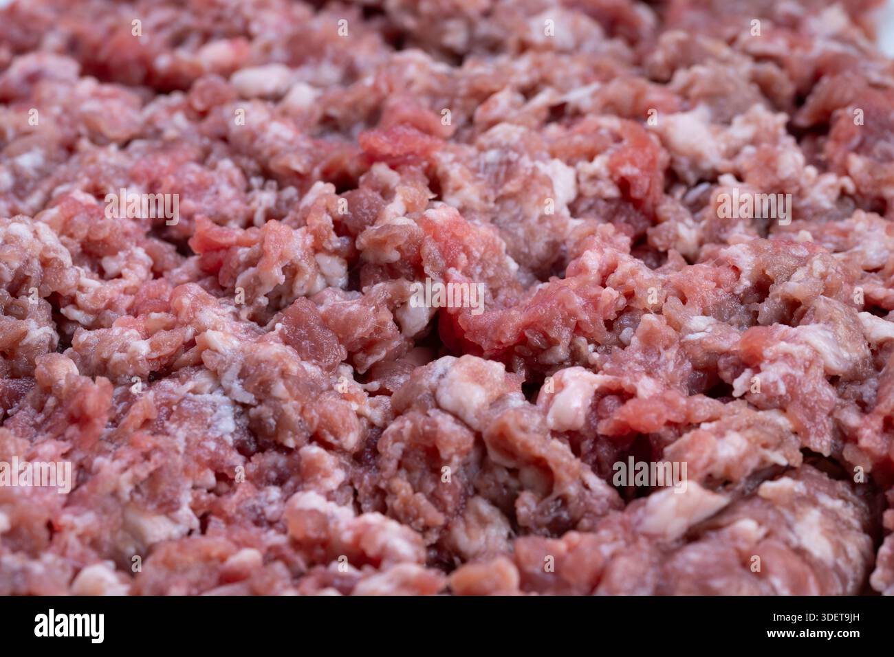 Rohes, fein gemahlenes Rindfleisch mit reichhaltigem Fett und grober Textur, Nahaufnahme von grob gemahlenem rohem Rindfleisch mit saftiger Fettverteilung, perfekt für Gourmet Stockfoto
