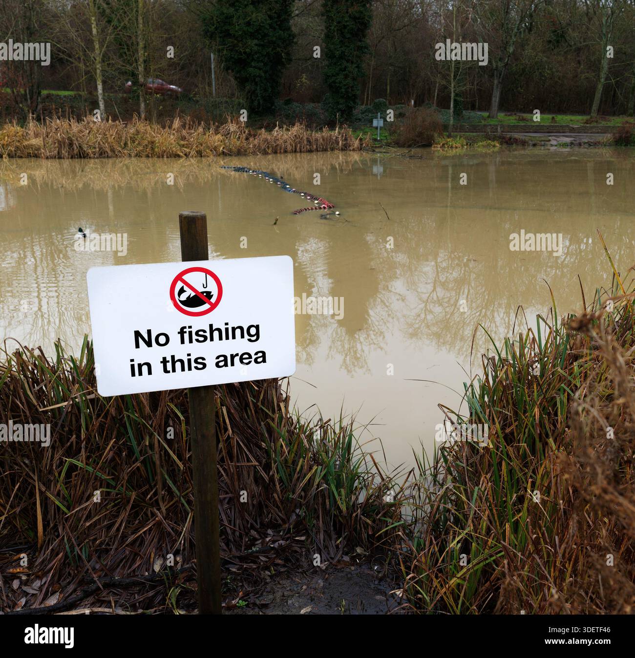 Hinweis: „Kein Angeln in dieser Gegend“ am Bootsee in Corby, England, an einem trüben Wintertag. Stockfoto