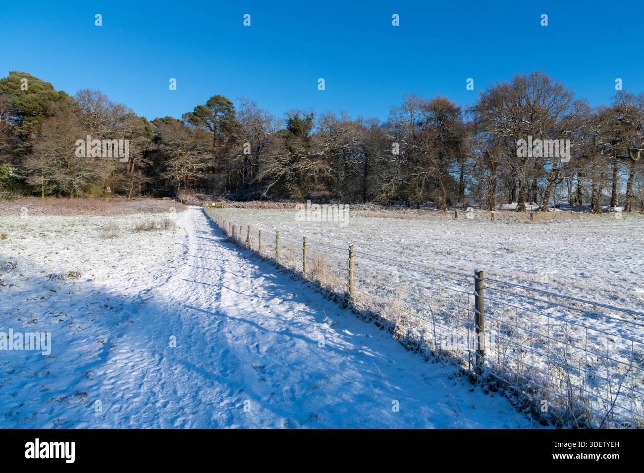 Ein heller und schneebedeckter Morgen am Alderley Edge in der Landschaft von Cheshire, England. Stockfoto