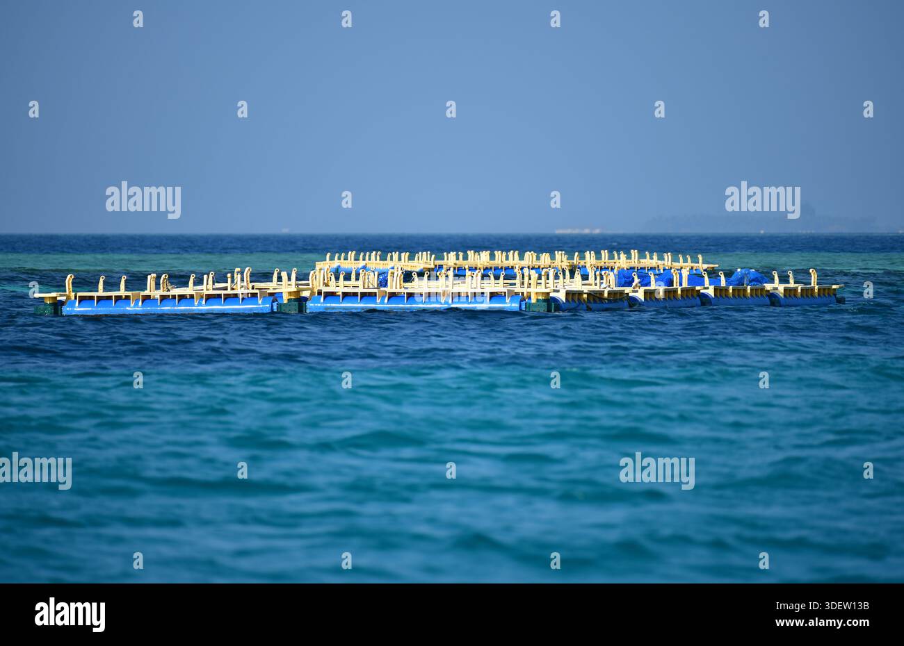 Fischzucht In Aquakultur. Malediven, Asien Stockfoto