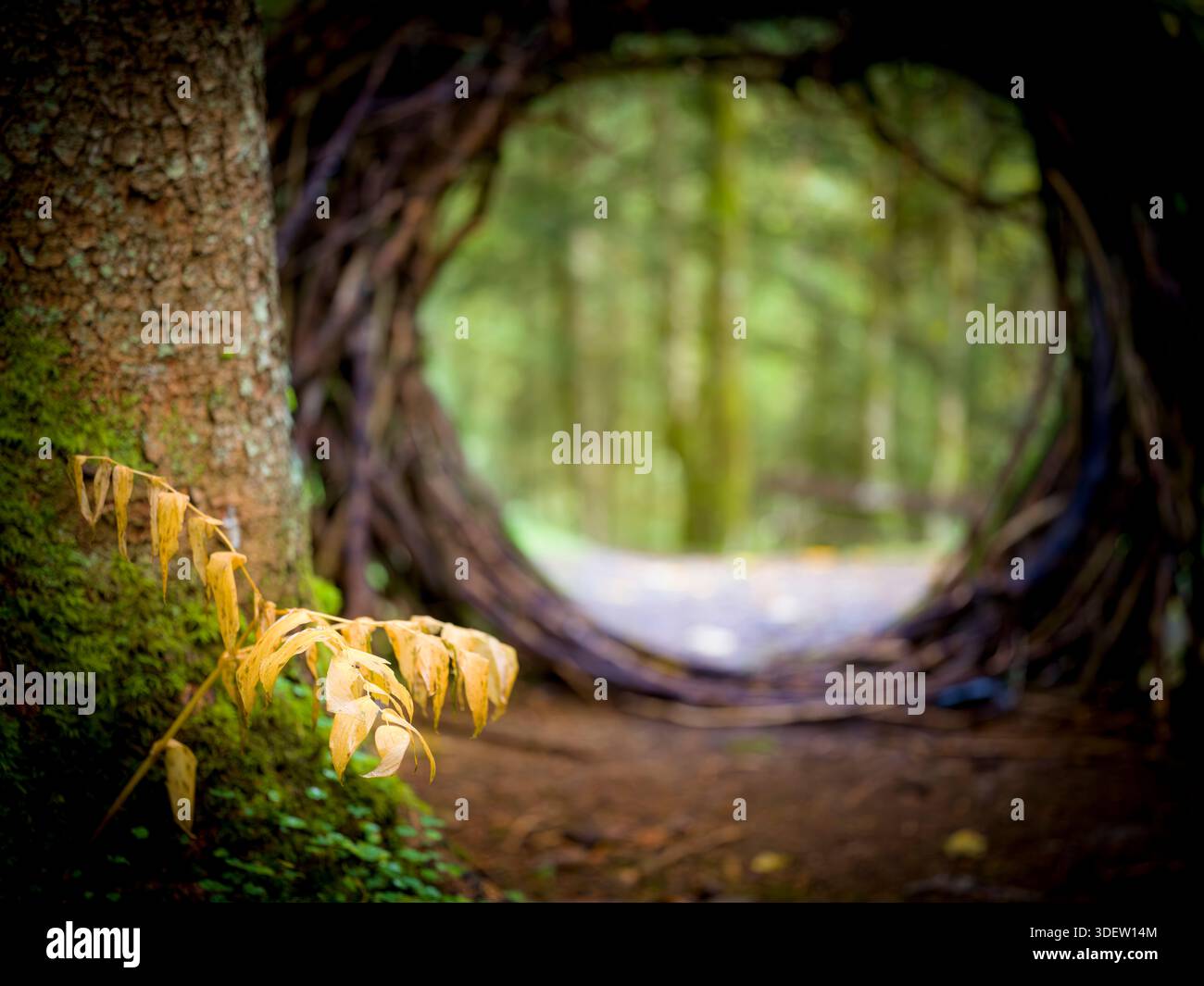 Schweiz, Engelberg, Landart, Kunstobjekt „das Portal“ Stockfoto